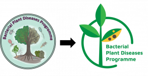 BPDP old and new logos