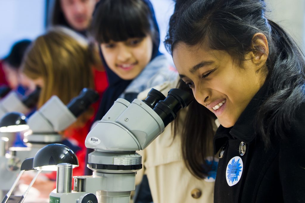 A girl looking down a microscope at the British Science Festival 2013