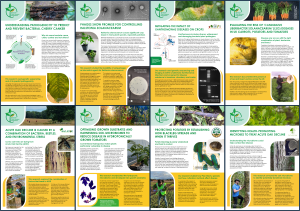 A composite image of 8 illustrated research summaries
